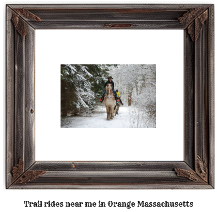 trail rides near me in Orange, Massachusetts